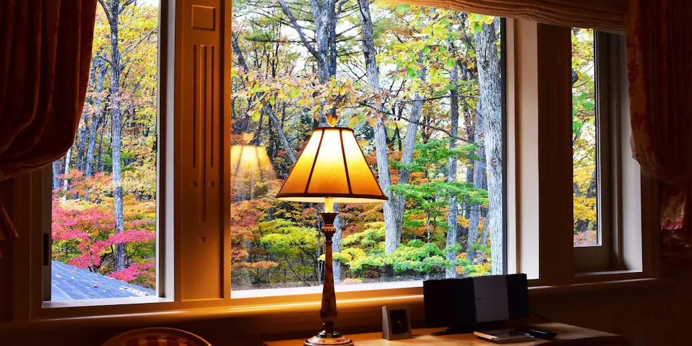 View from room