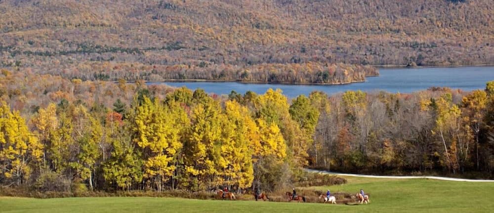 View from property