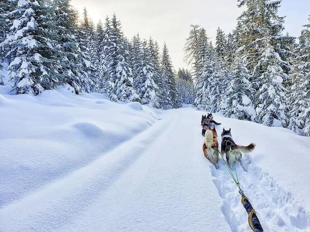 Sledding