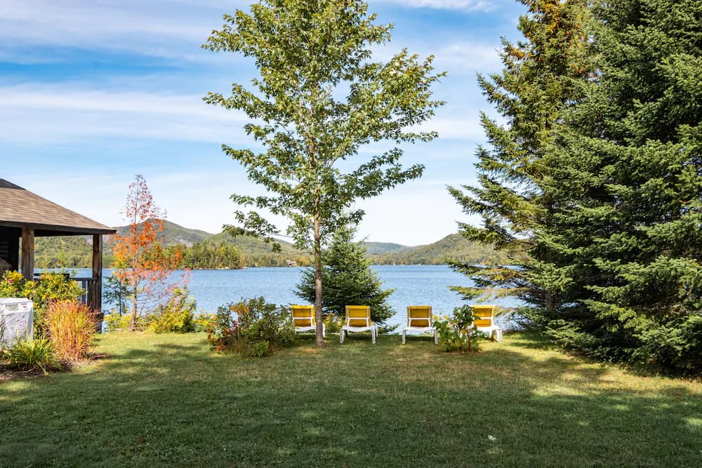 Lake view