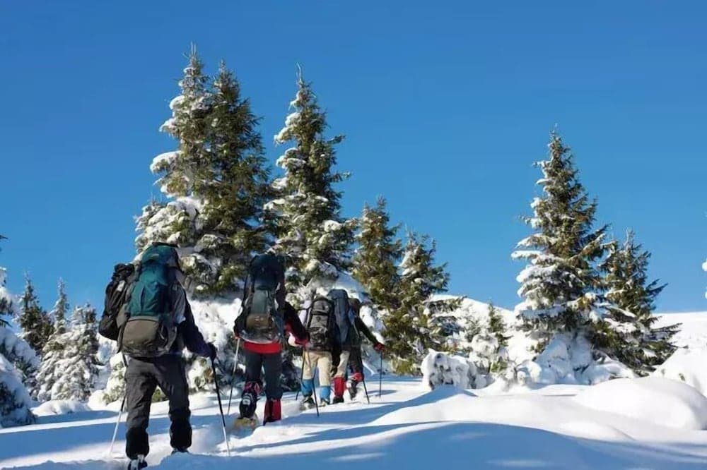 Snowshoeing
