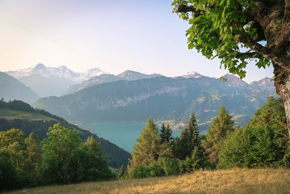 View from property