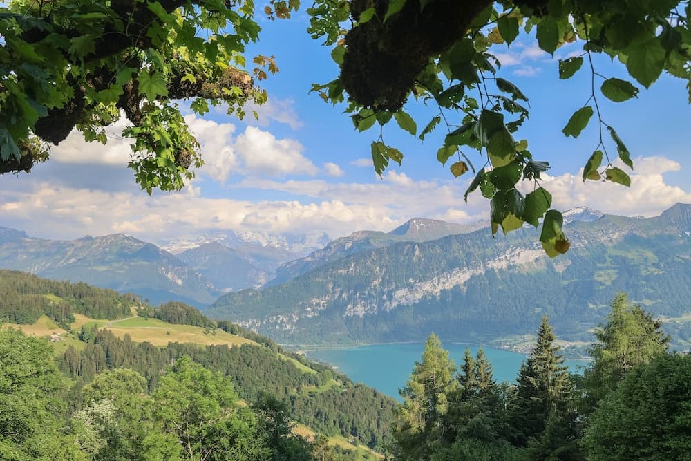 View from property