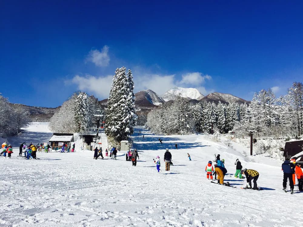 Skiing
