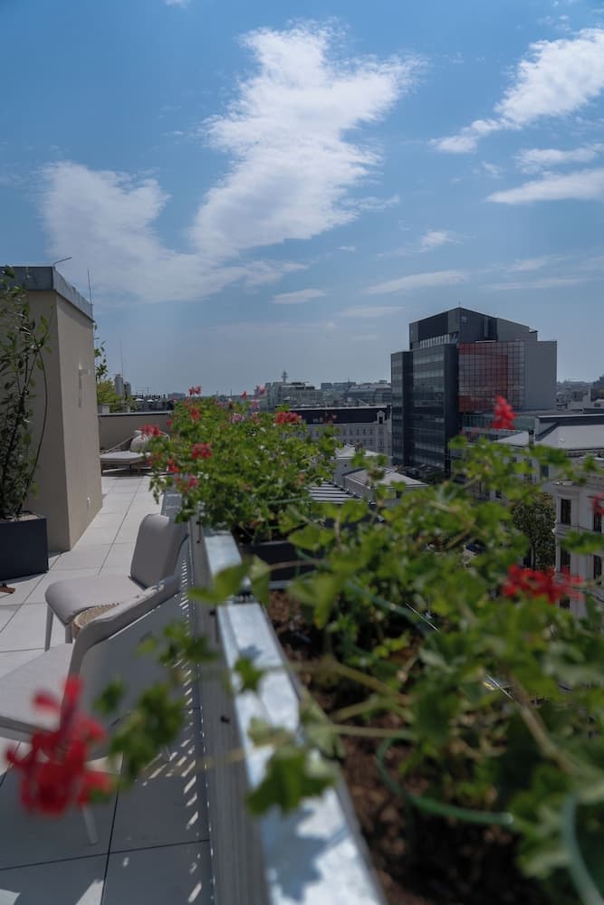 Rooftop terrace