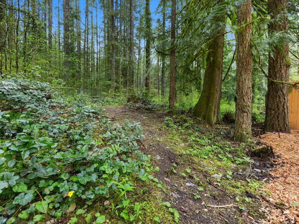Land view from property