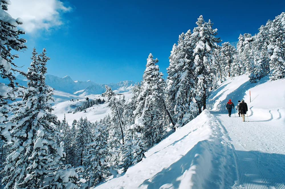 Snowshoeing