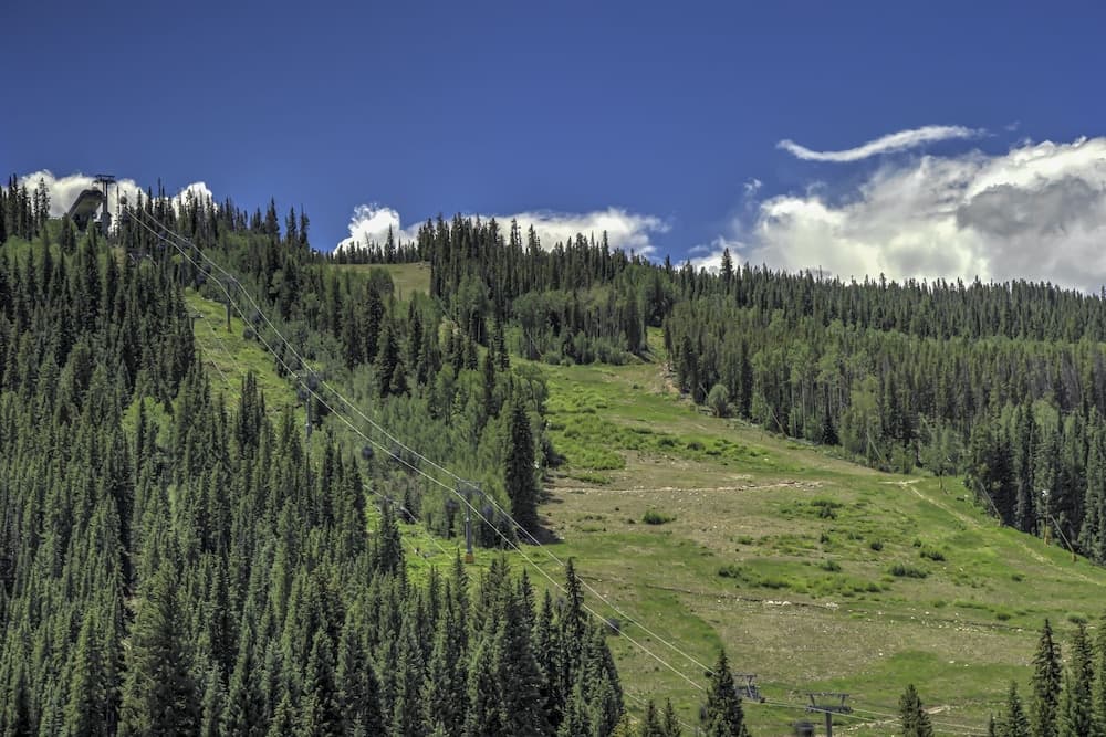 Mountain view