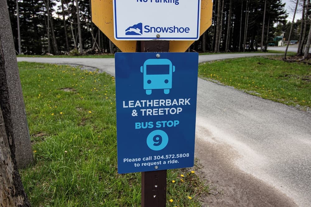 City shuttle