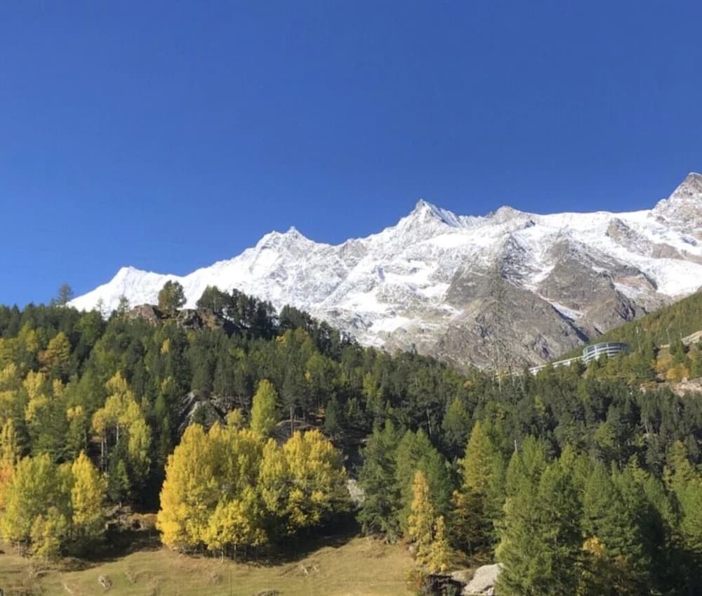 Mountain view
