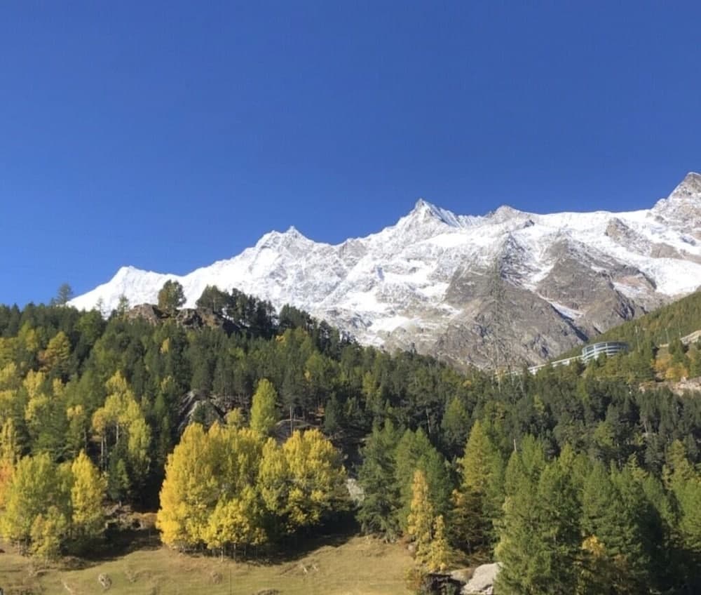 Mountain view
