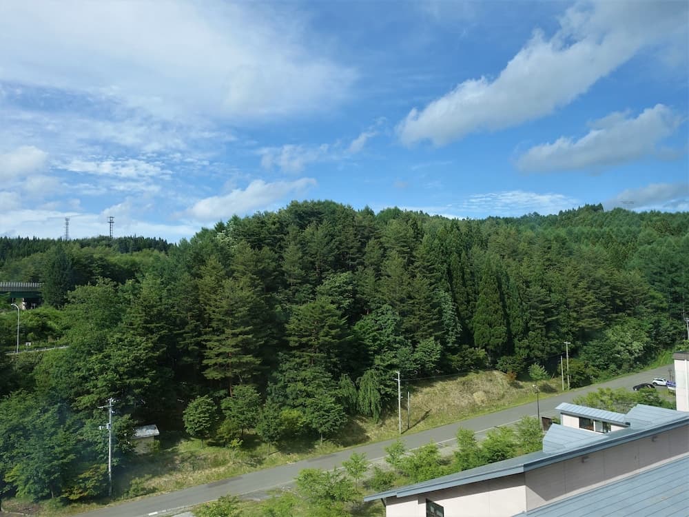View from room
