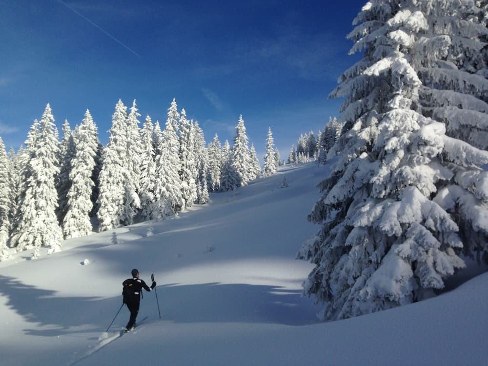 Snowshoeing