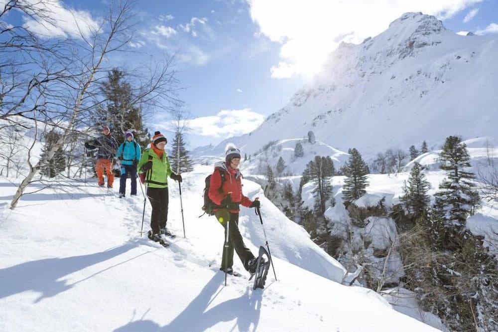 Snowshoeing