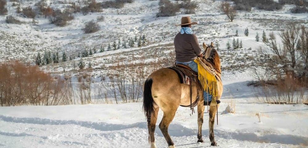 Horseback riding