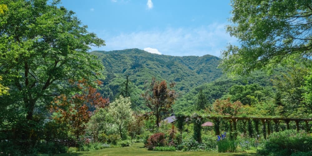 Garden view