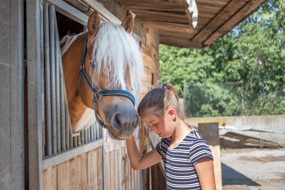 Horseback riding