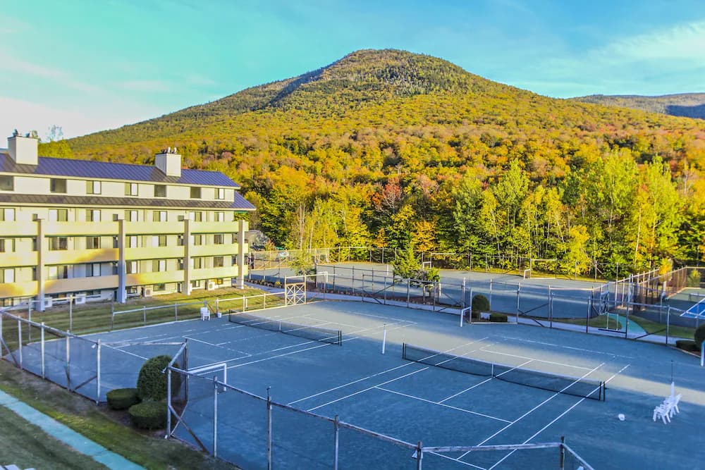 Tennis court