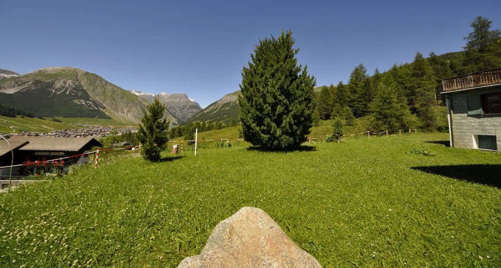 Mountain view