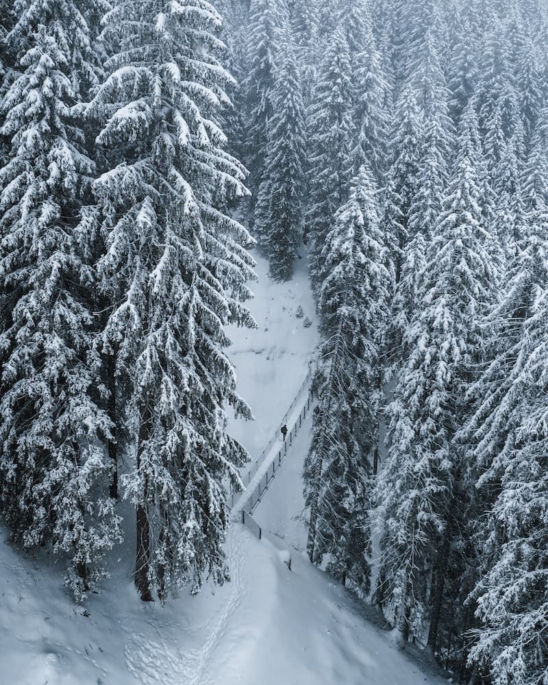 Snowshoeing
