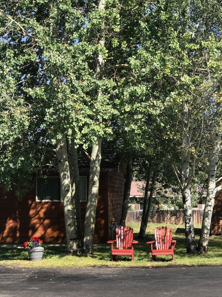 BBQ/picnic area