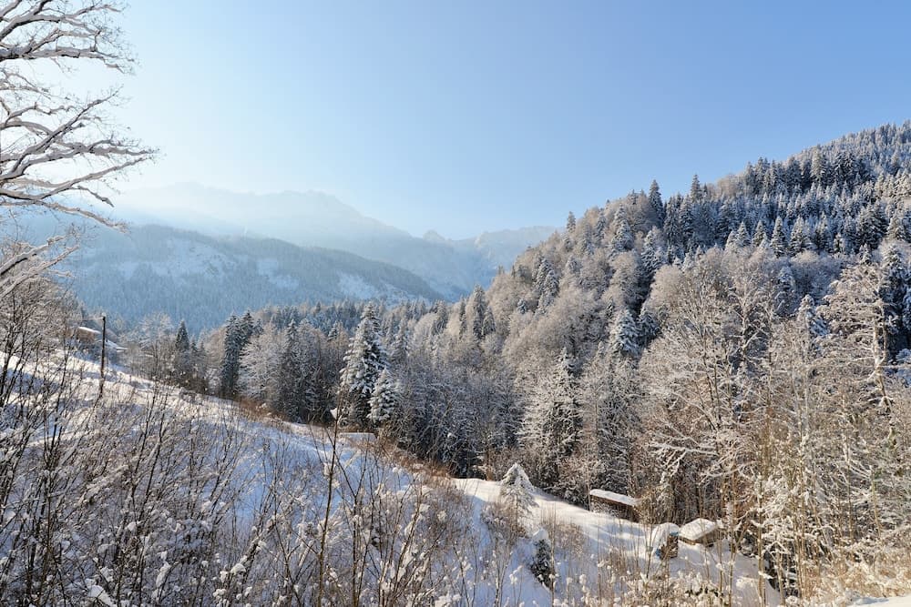 Mountain view