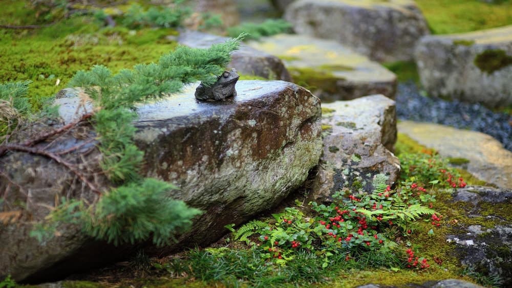 Japanese garden