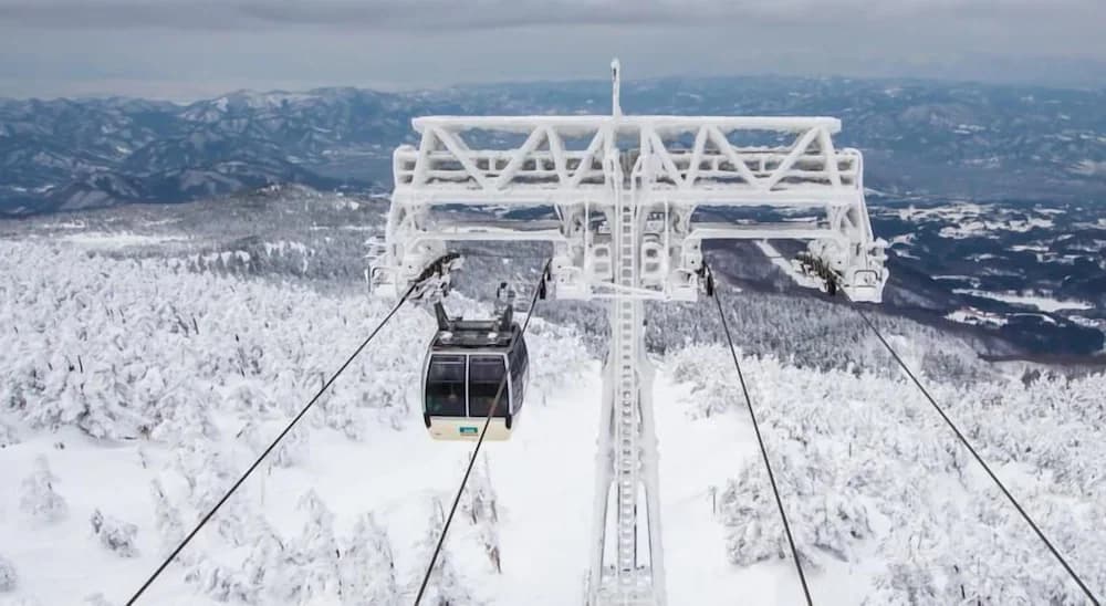 Snow and ski sports