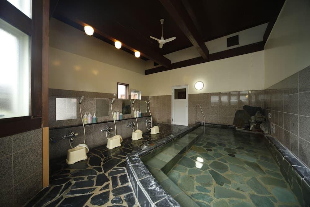 Indoor spa tub