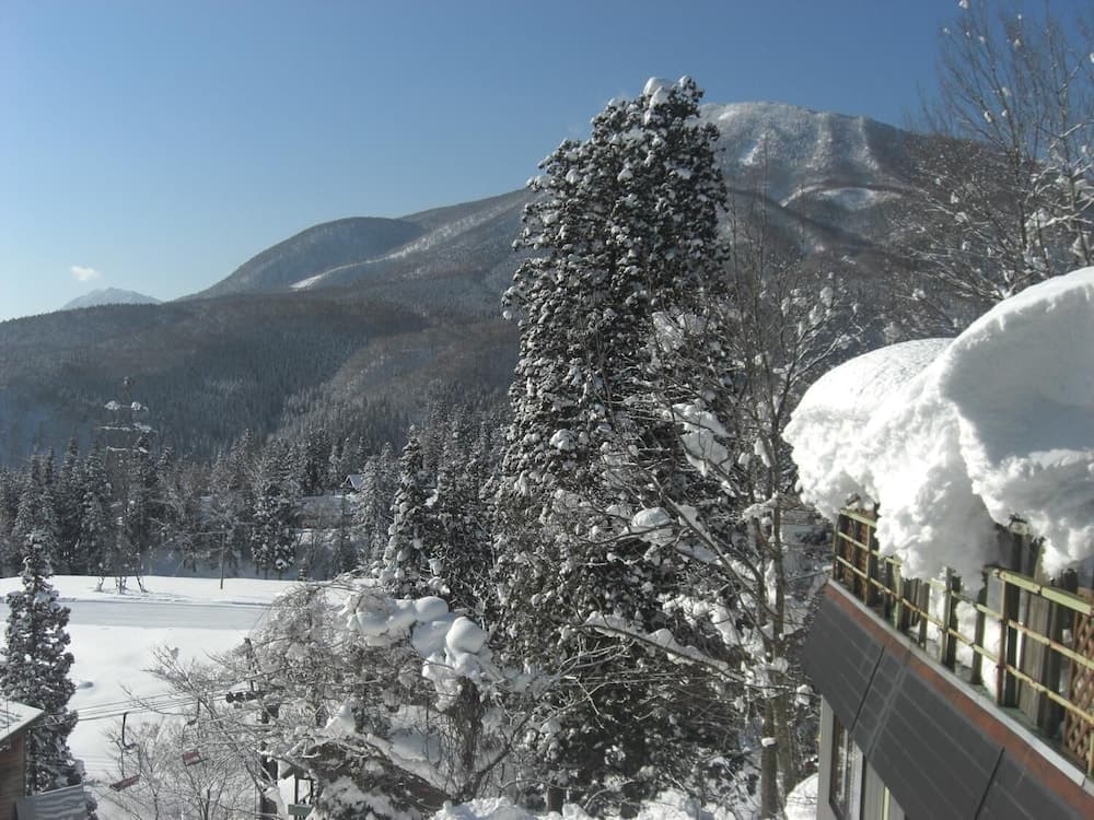 View from room