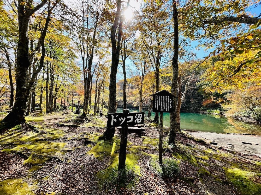 Hiking