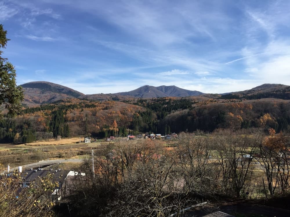 View from property