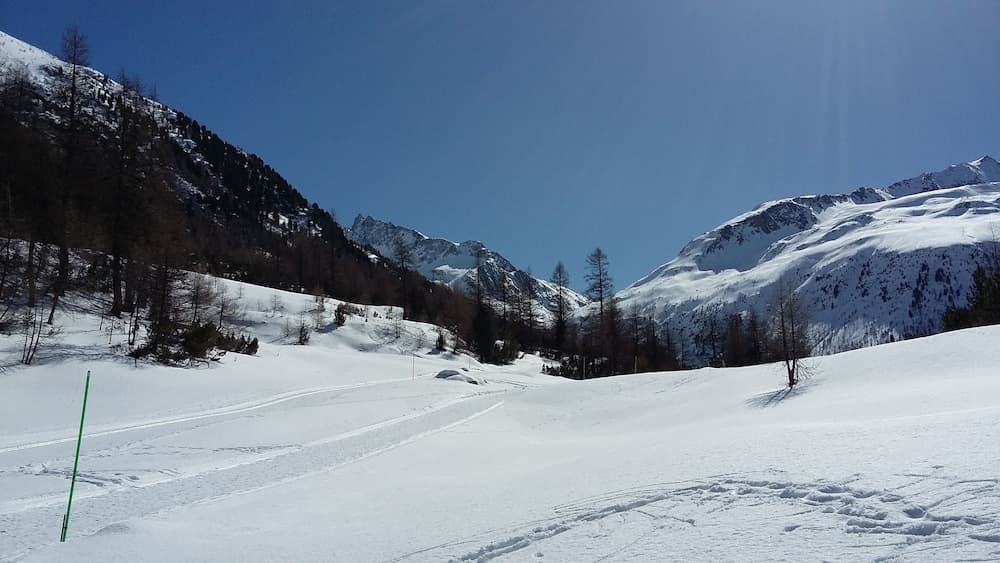 Snowshoeing