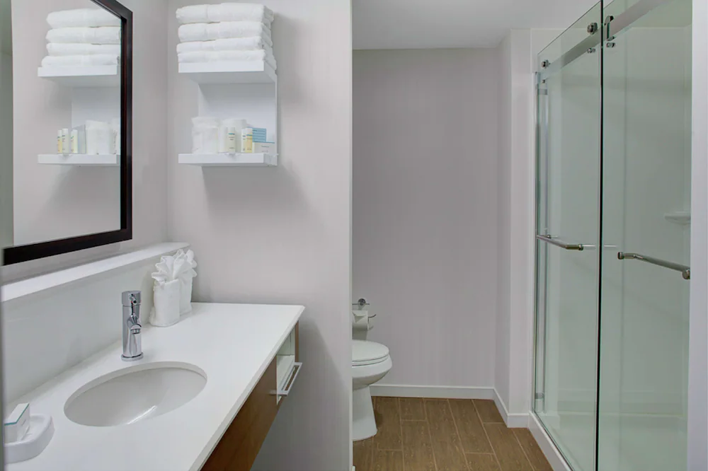 Bathroom shower