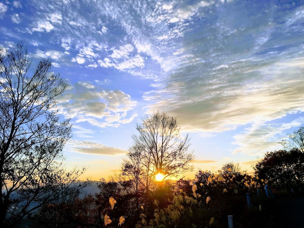 City view from property