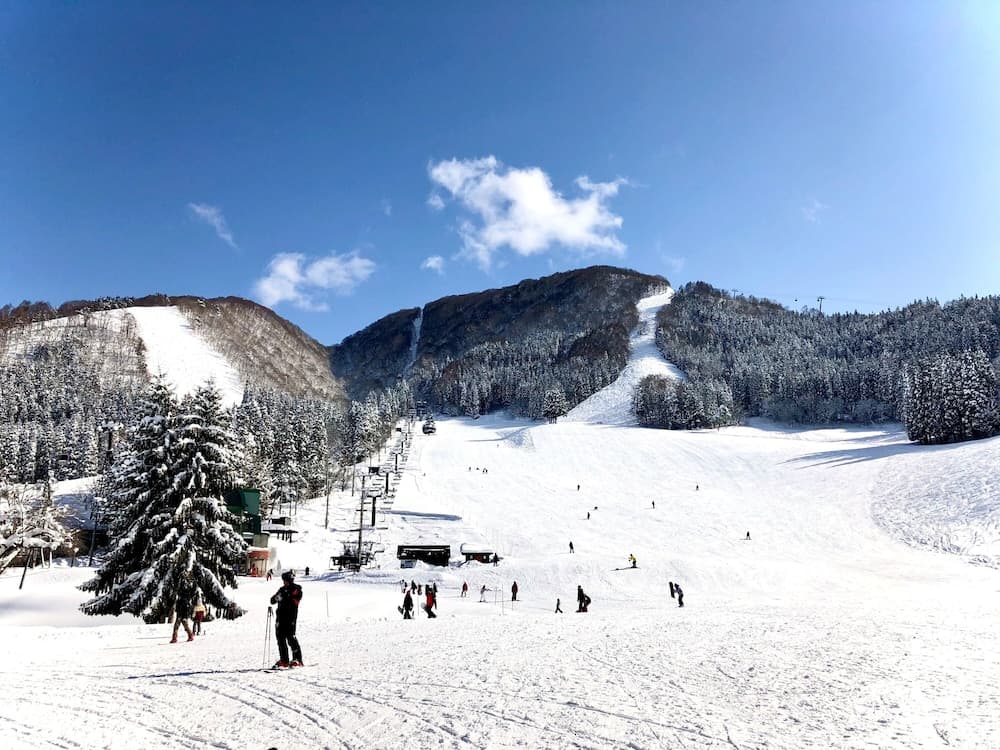 Snow and ski sports
