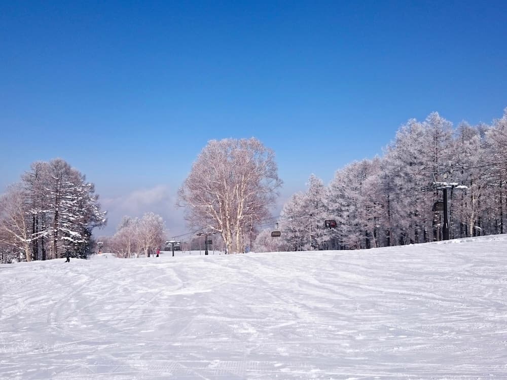 Snow and ski sports