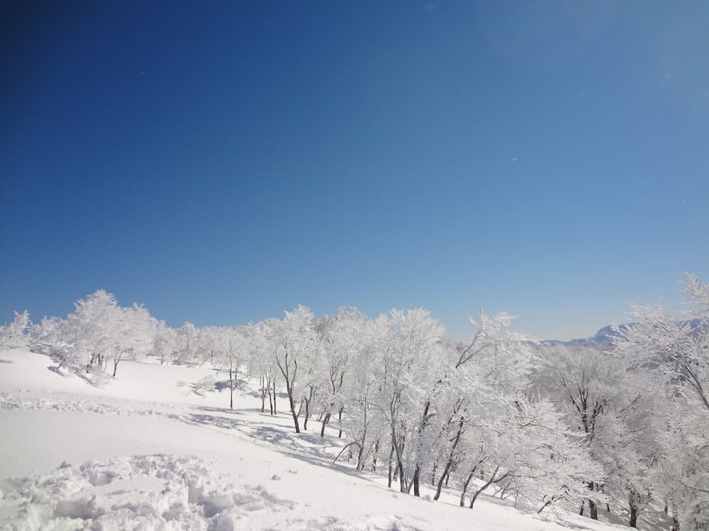 Snow and ski sports