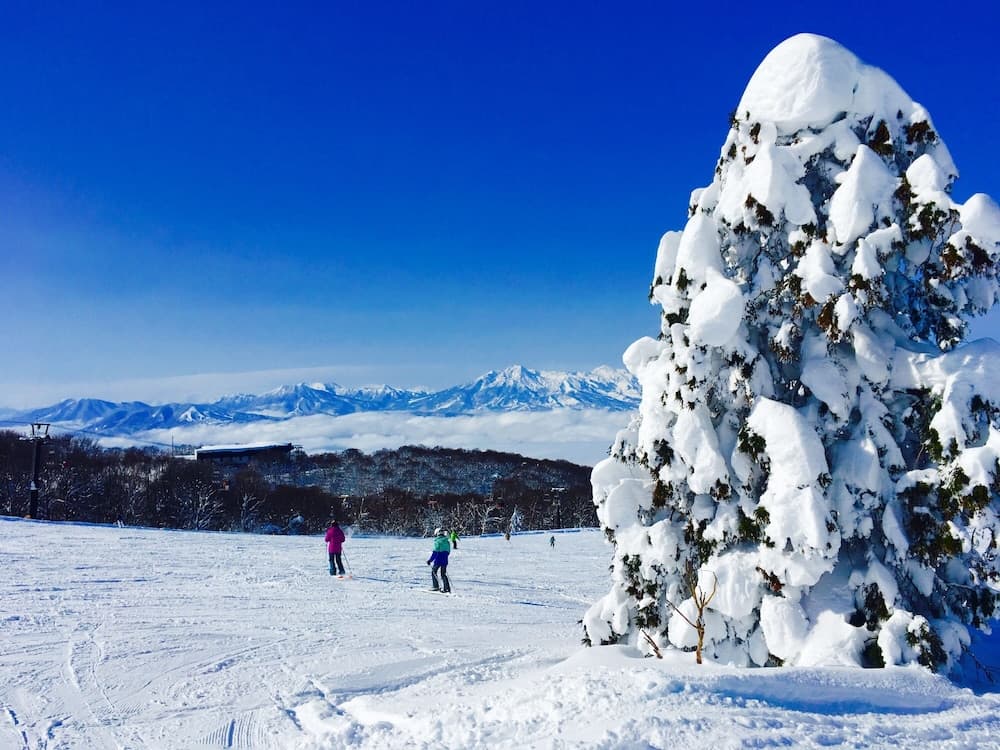 Snow and ski sports