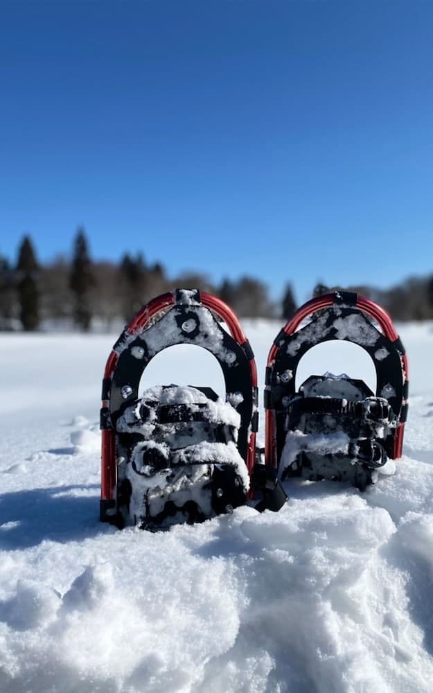 Skiing