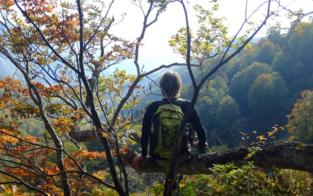 Hiking
