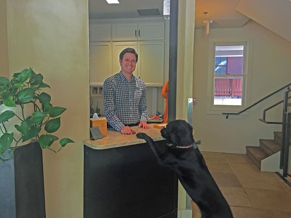 Pet-friendly