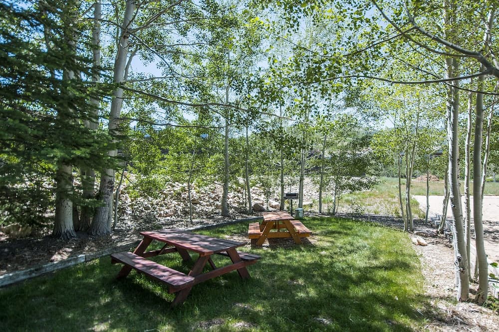 BBQ/picnic area