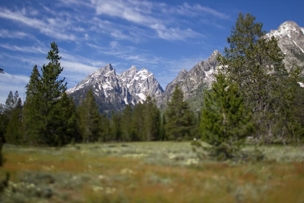 View from property