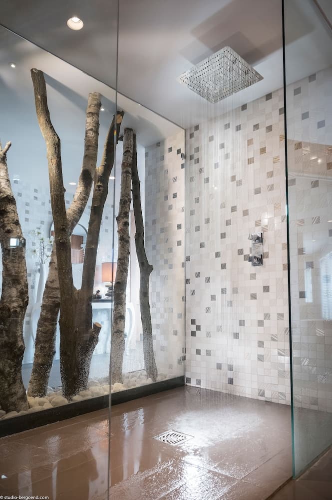 Vichy shower