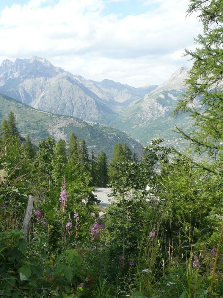 Primary image