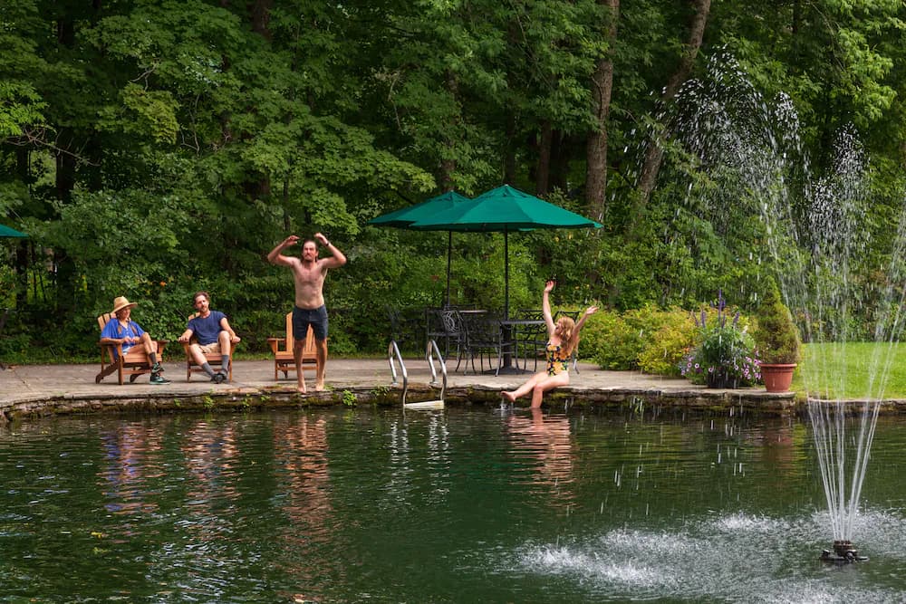 Natural pool
