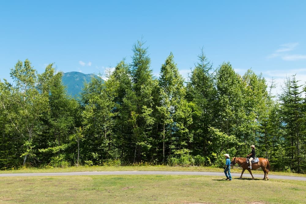 Horseback riding