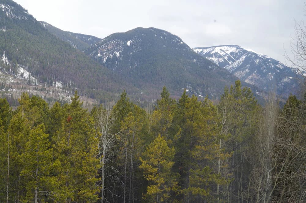 Mountain view