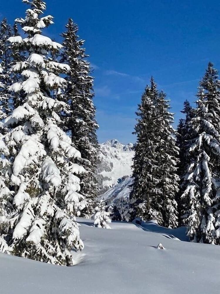 Snowshoeing